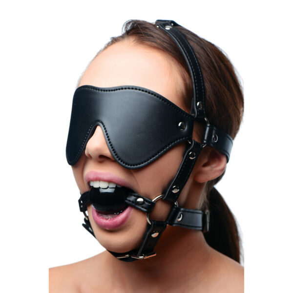 Blindfold Harness and Black Ball Gag