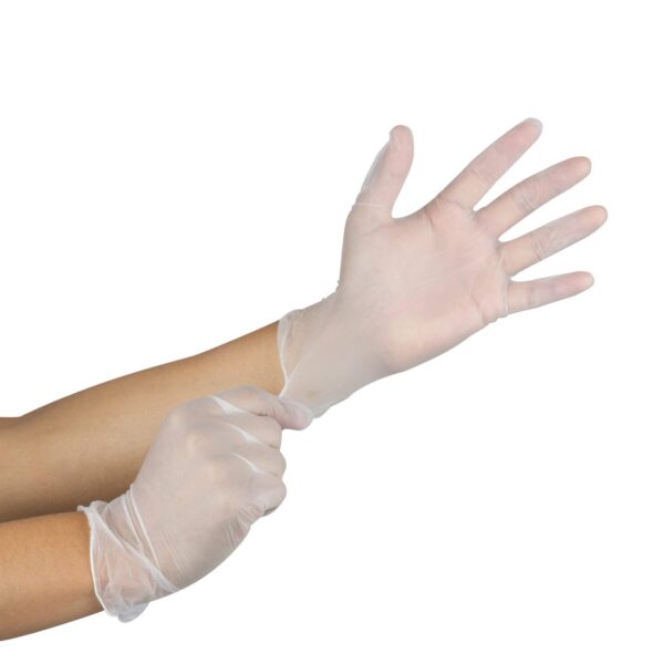 Vinyl Powder Free Gloves - Medium