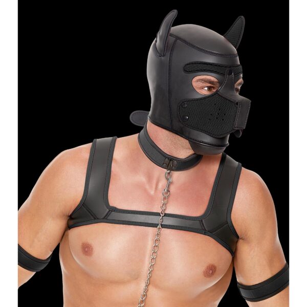 Neoprene Puppy Kit - SM